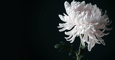 “逝有所归”，需做好公益性公墓兜底丨光明时评