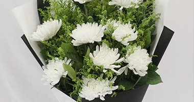 我国殡葬行业最新现状简报（2021）