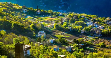 中央“丧葬习俗改革”开始执行