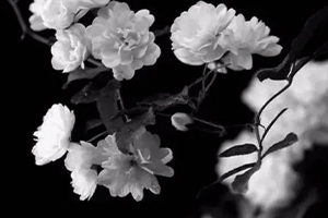 百日祭奠：老人过世百天的中国传统祭奠习俗