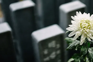 有关殡葬的文化，你了解多少？